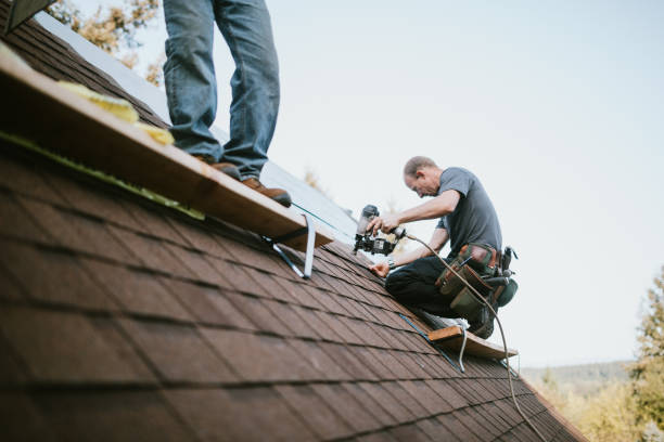 Best Metal Roofing Contractor  in Winchester, TN